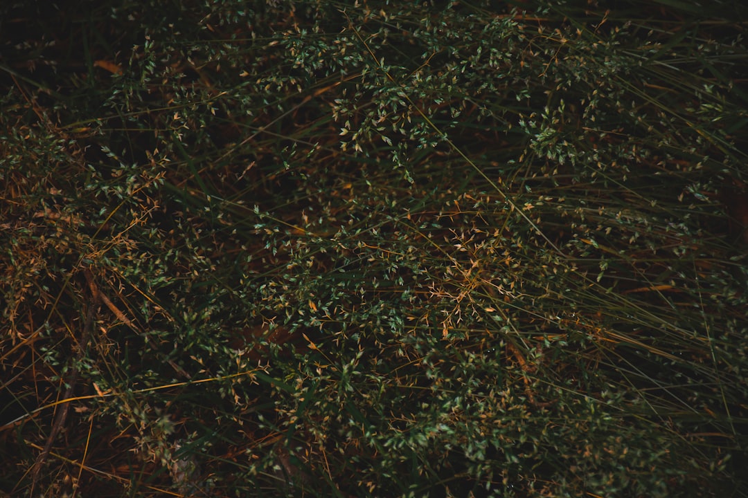 Los mejores anzuelos para cigalas: guía de compra