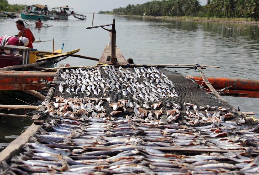 Photo environmental impact fishing