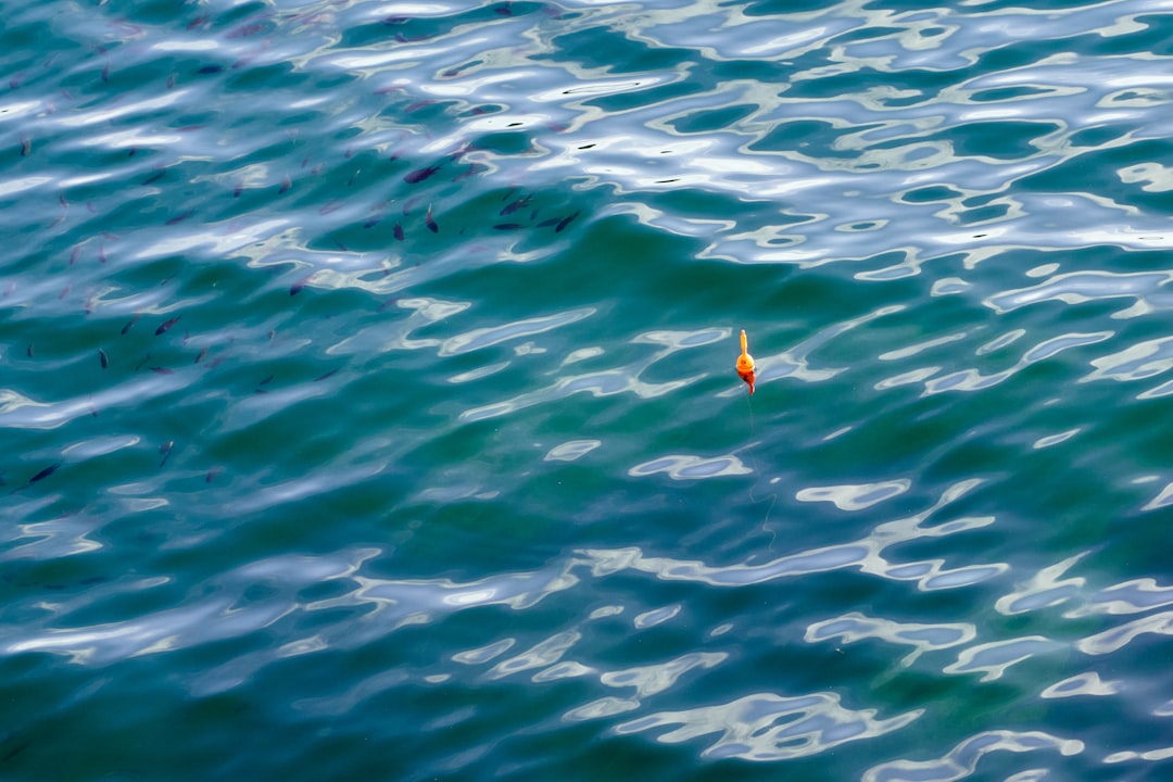 Photo fishing underwater