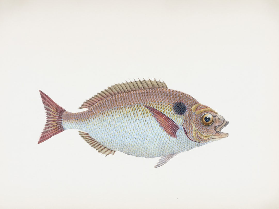 Cómo Pescar Dorado #1 Guía Clara (sin lio)