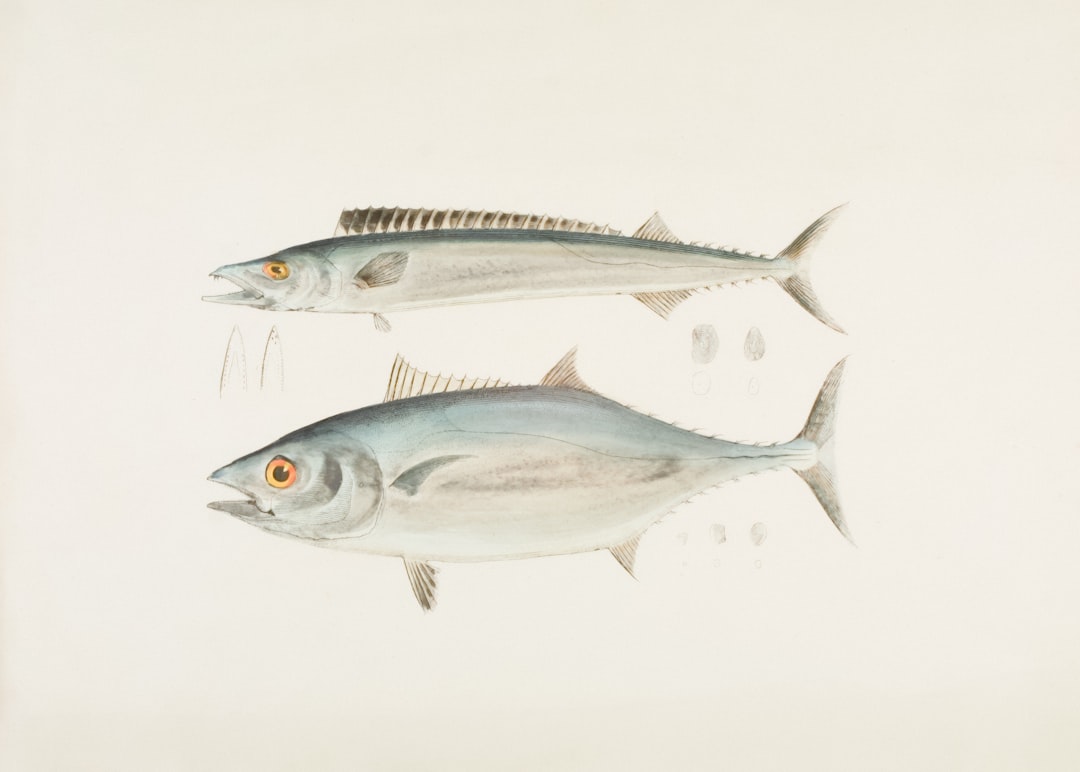 Consejos Para Pescar Jurel Del Atlantico #1 Guía Clara