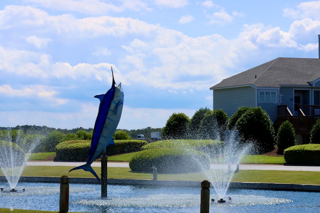 Consejos Para Pescar Marlin #1 Guía Clara (sin lio)