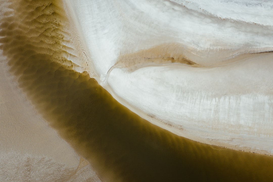 Carretes para Sargo #1 Guía Clara (sin lio)