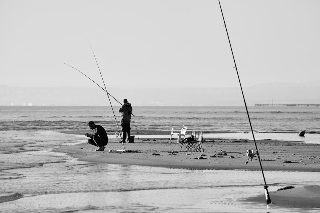 Trucos Pesca Dorada Consejos Para Una Pesca Exitosa #1 Guía