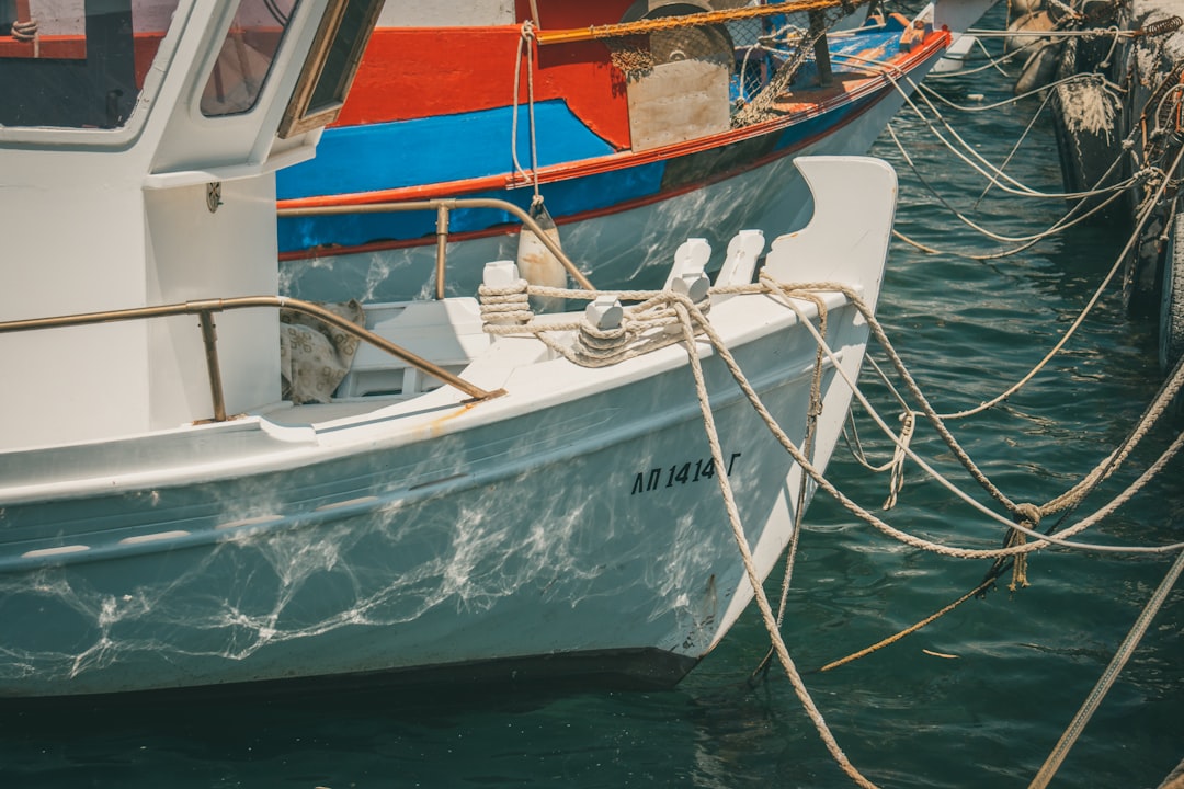 Modalidades de pesca de sargo: técnicas y consejos