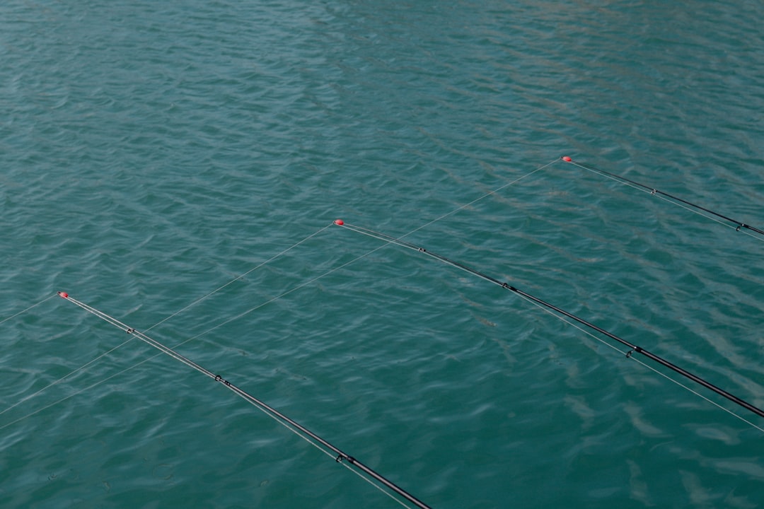 Las mejores marcas de líneas de pesca para agua salada