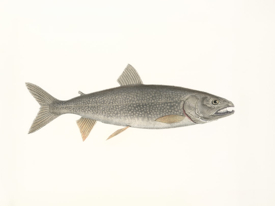 Comparativa de Pesca de Pinguinos