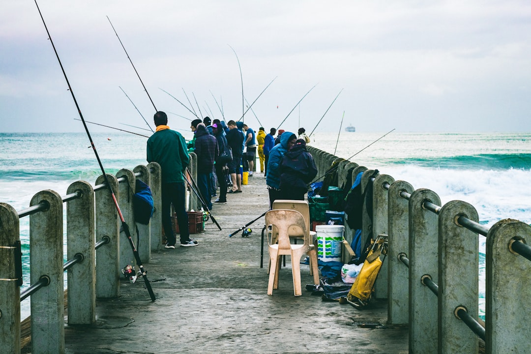 Pinguino Fishing: Tienda Online para los Amantes de la Pesca