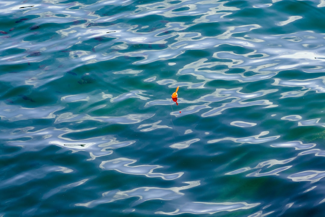 Las mejores marcas de líneas de pesca finas