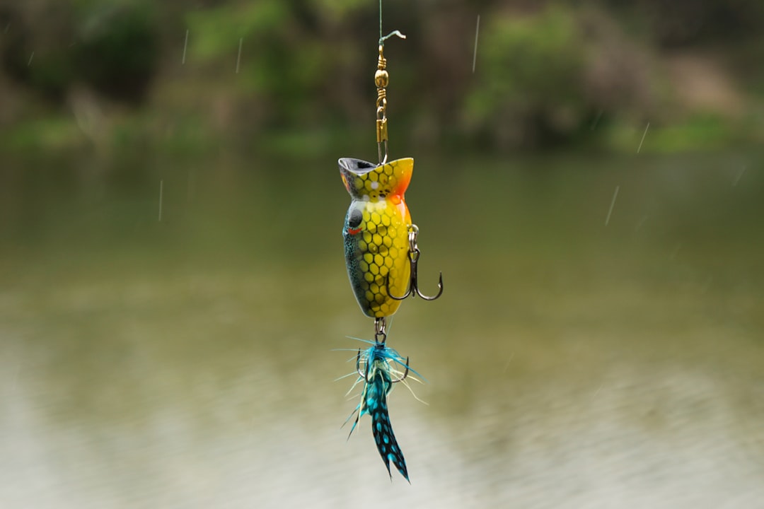 Photo premium fishing lures