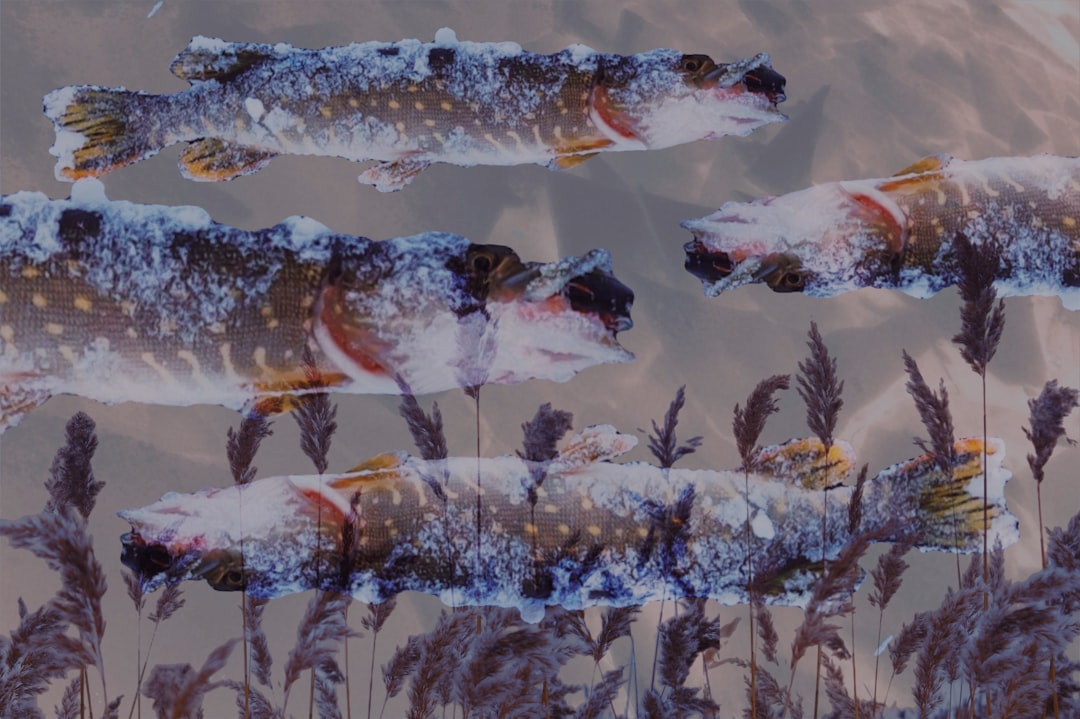 10 Técnicas Efectivas para la Pesca del Lucio