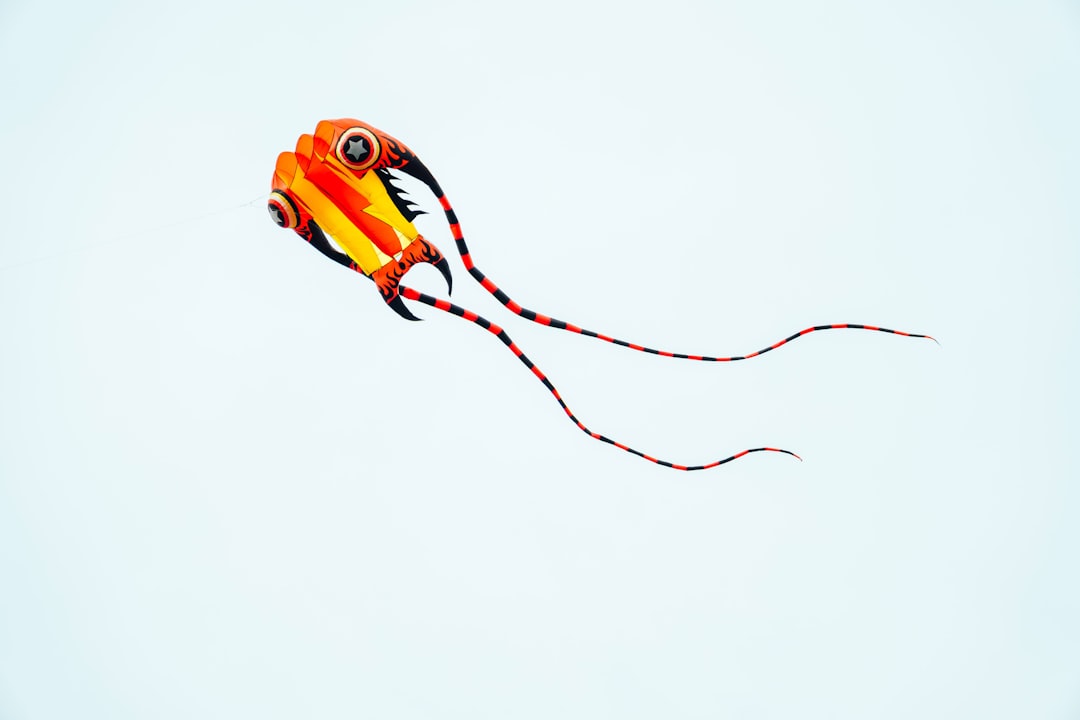 Los mejores lugares para pescar calamares