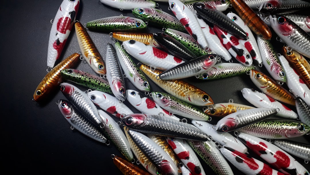 Photo fishing lures