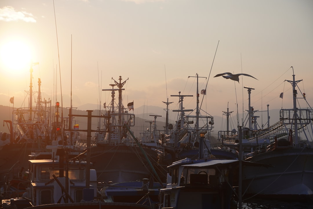 Photo Pesca Industrial