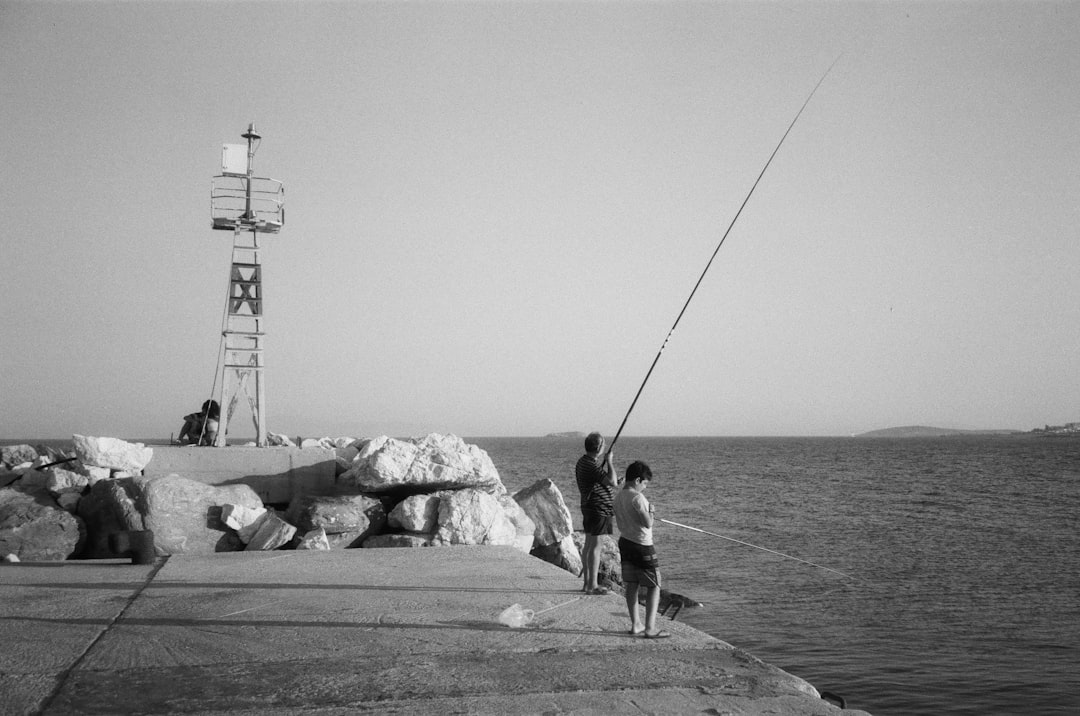 Temporada de pesca de anchoveta: Importancia y desafíos