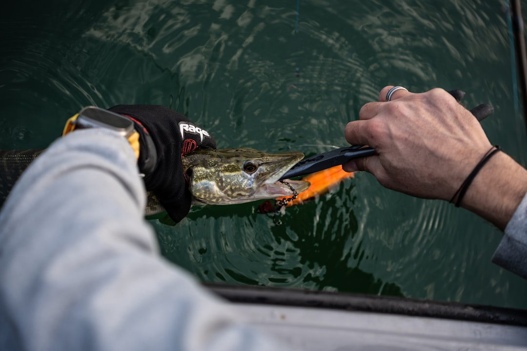 Los mejores lugares para pescar lucios