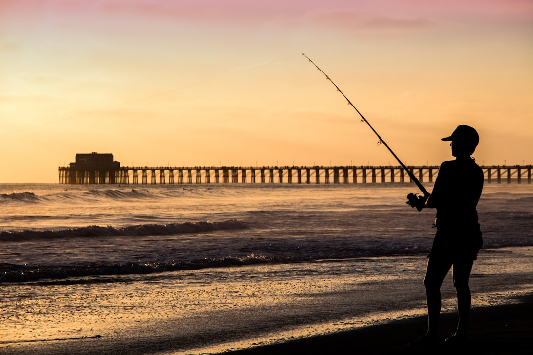 Emocionantes deportes marinos: caña y carrete