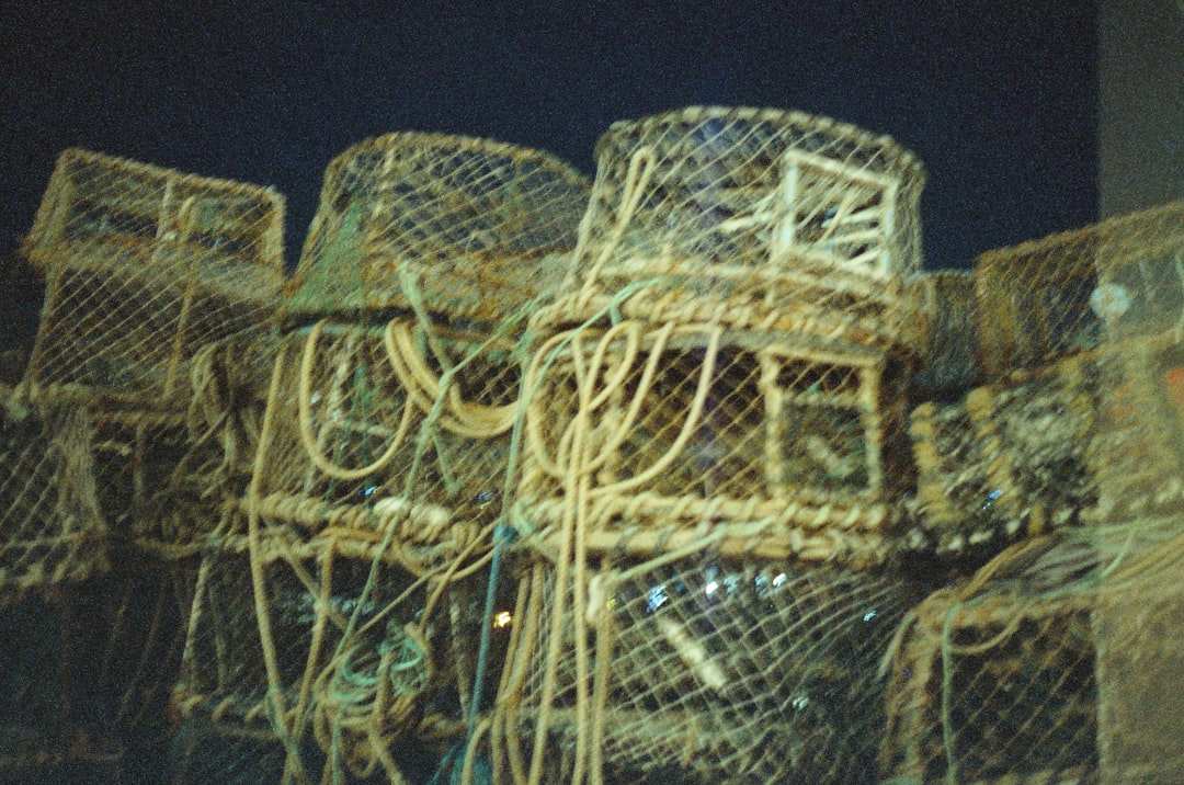 Photo Seguridad y Leyes de Atarrayas