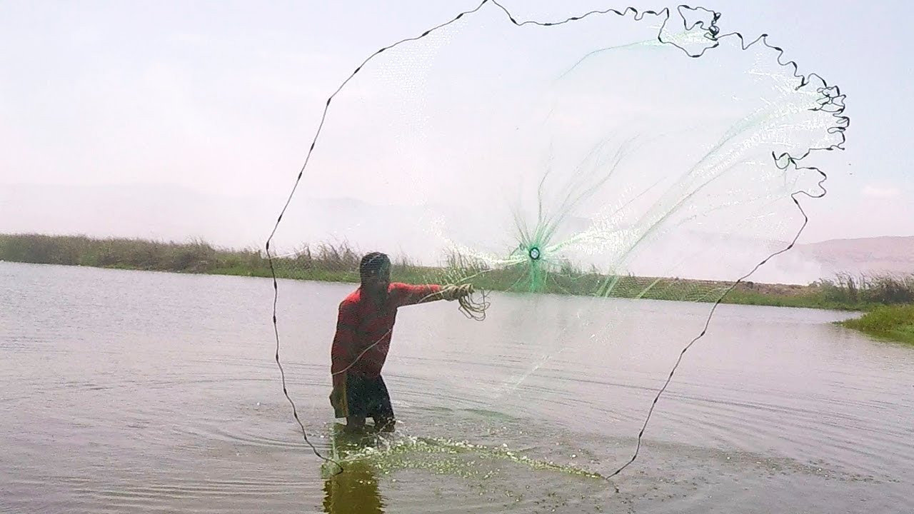 Errores Comunes al Lanzar Atarraya | #1 Guía del Mundo