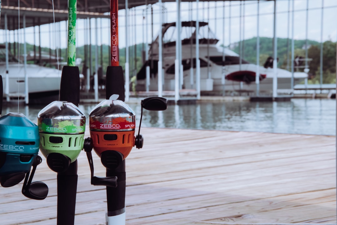 Mejores combos de deportes marinos: diversión acuática garantizada