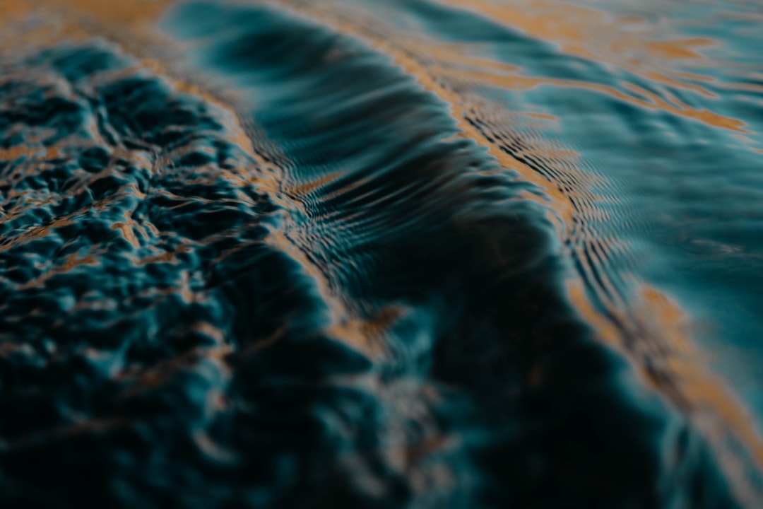 Interpretando el movimiento del agua para pescar