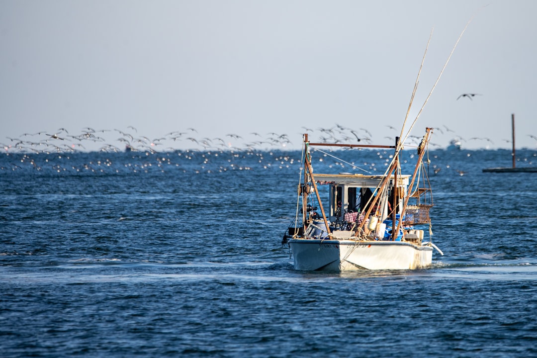 Pesca al curricán: guía para principiantes