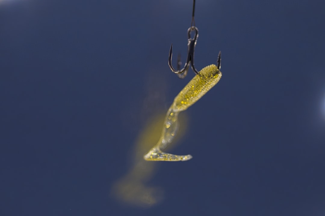 Pesca con carnada viva: técnicas efectivas