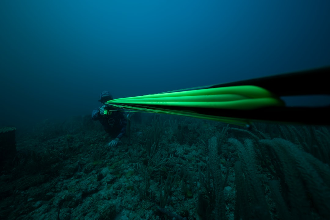 Descubre los secretos de la pesca submarina