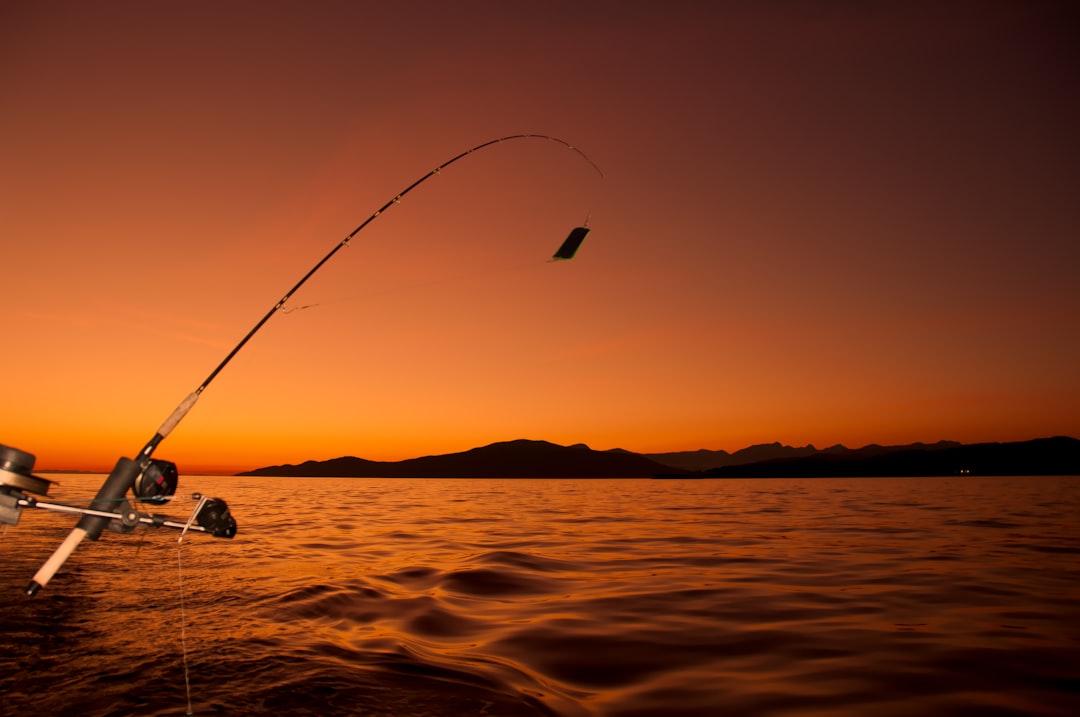 Los mejores plomos de pesca para capturar más peces
