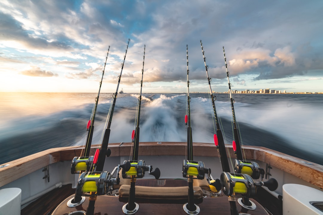 Pasión por la pesca: un amor que fluye en las aguas