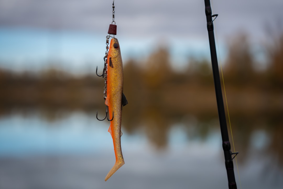 Secretos para utilizar anzuelo de pesca