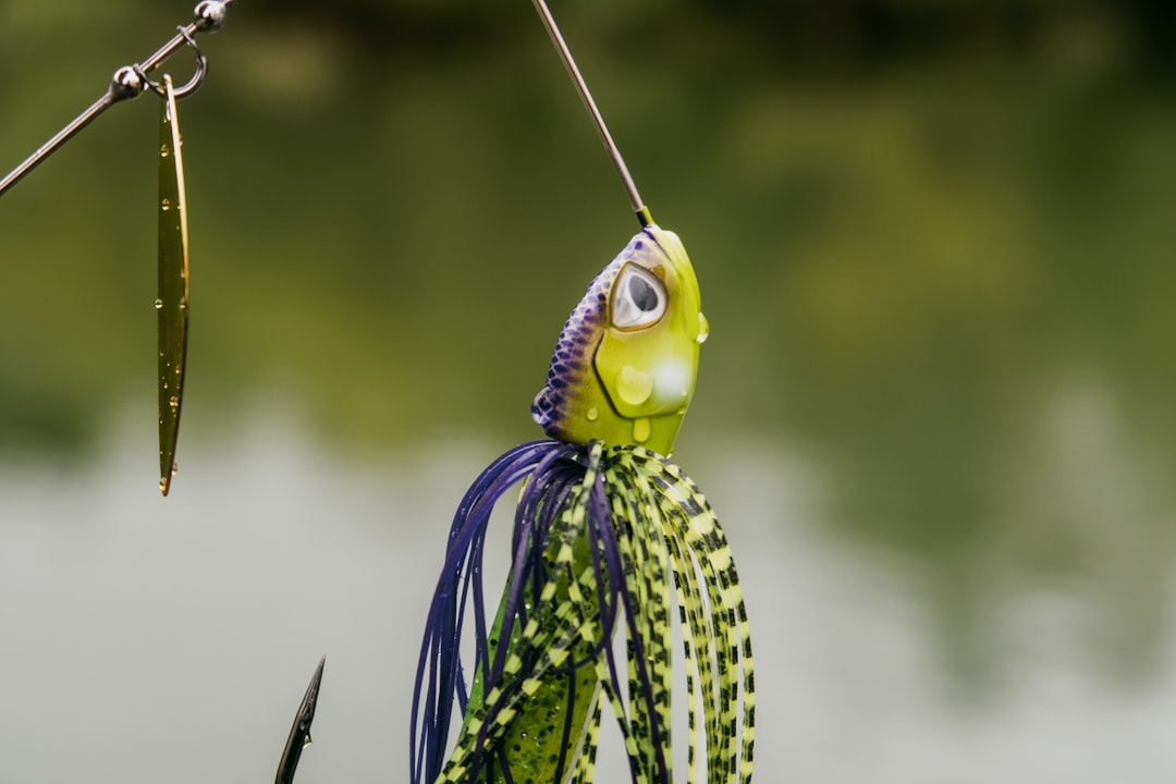 Montajes de Pesca para Jigging Ligero: Consejos y Técnicas