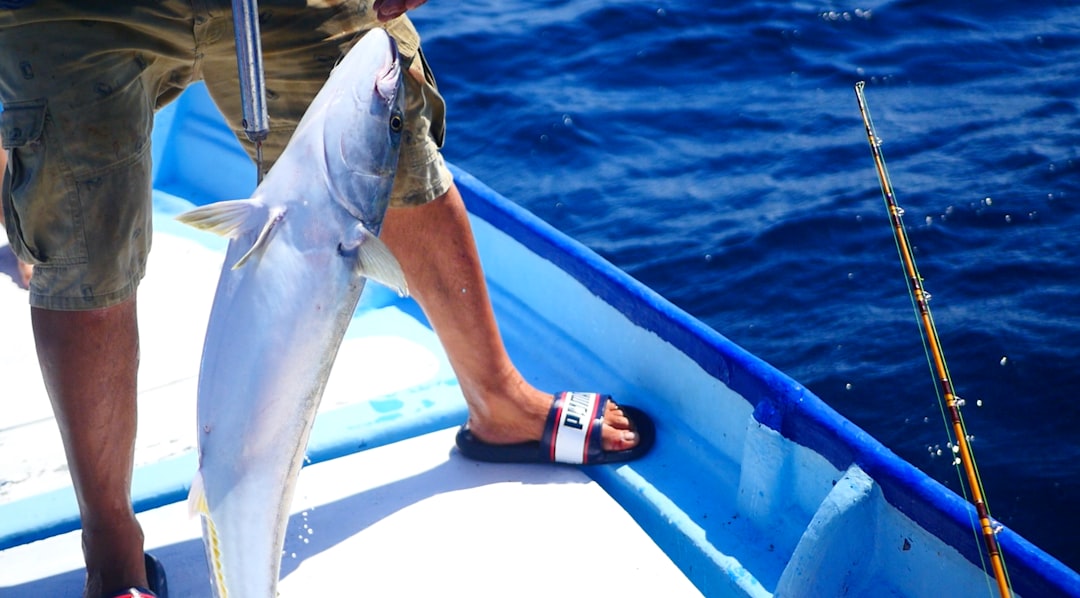 Secretos del atún pesca: técnicas y consejos