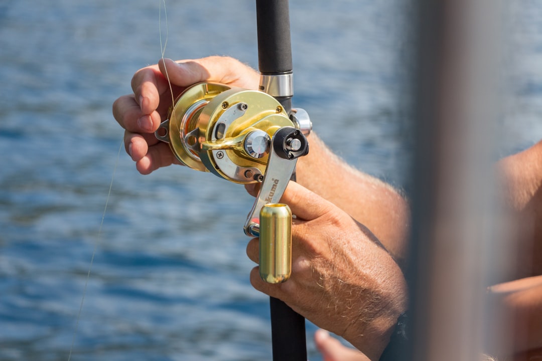 Descubre la eficiencia del carrete pesca eléctrico
