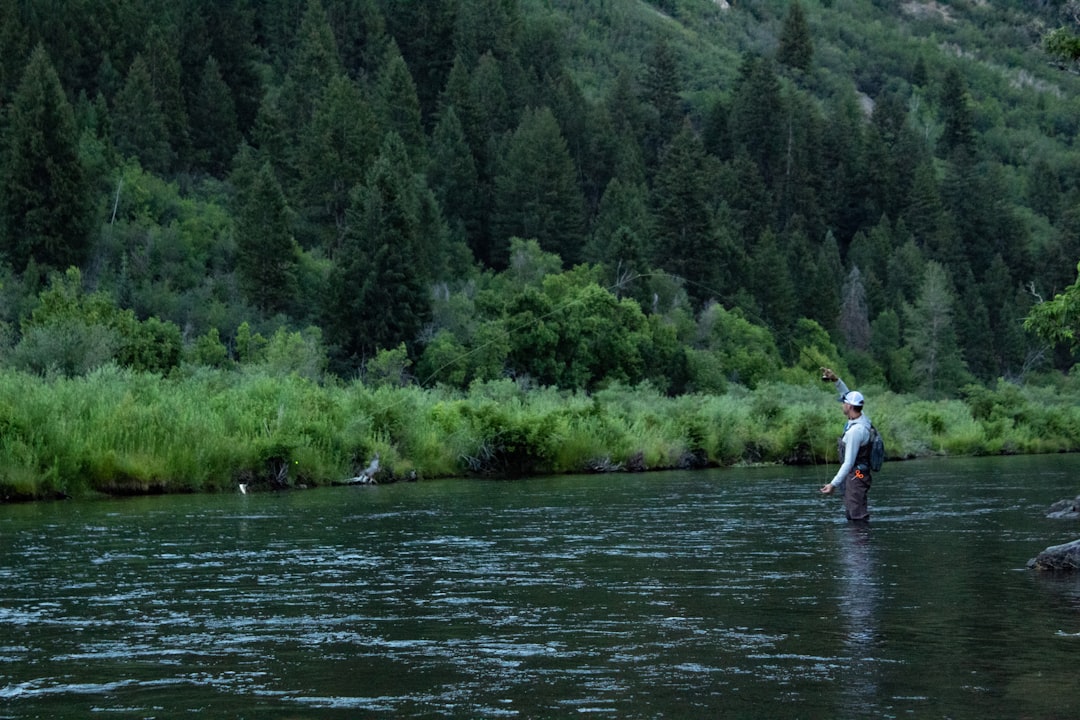 Photo trout fishing
