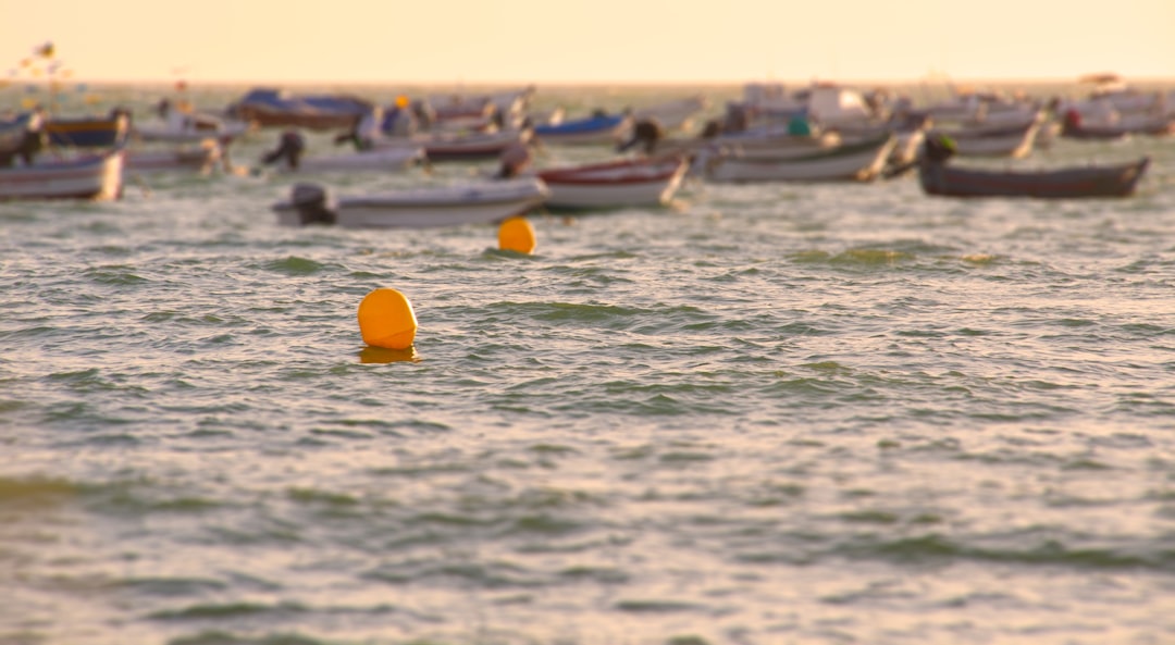 El Golfo de Cádiz: Paraíso de la Pesca