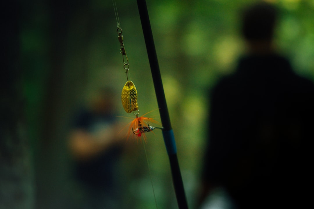 Los mejores anzuelos de pesca: consejos y recomendaciones