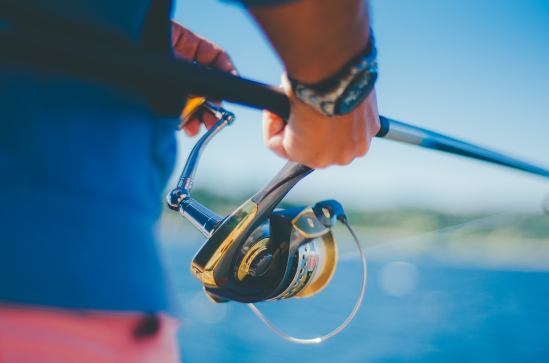 Photo surfcasting reels