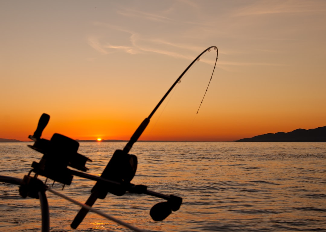 Secretos de la pesca del sargo: técnicas y consejos
