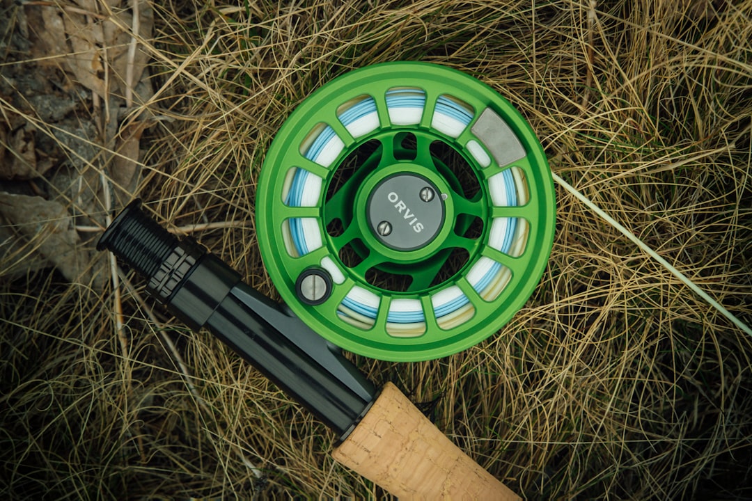 Descubre las mejores ofertas en carrete de pesca Amazon