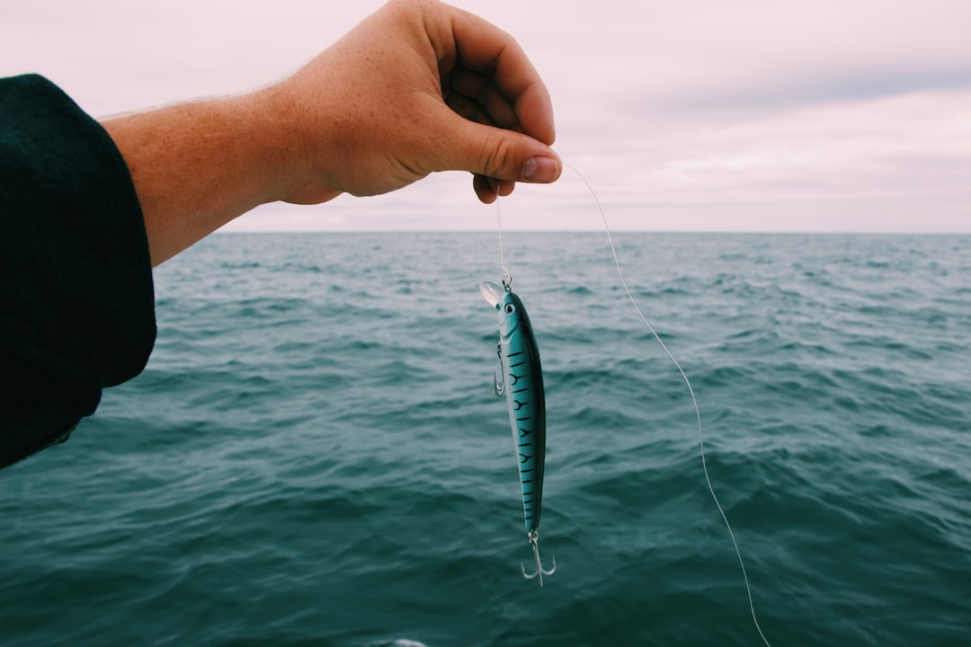 Pesca al Vivo: Técnicas y Consejos Esenciales