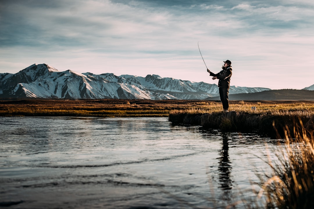 Pescar Peces: Una Guía para Principiantes