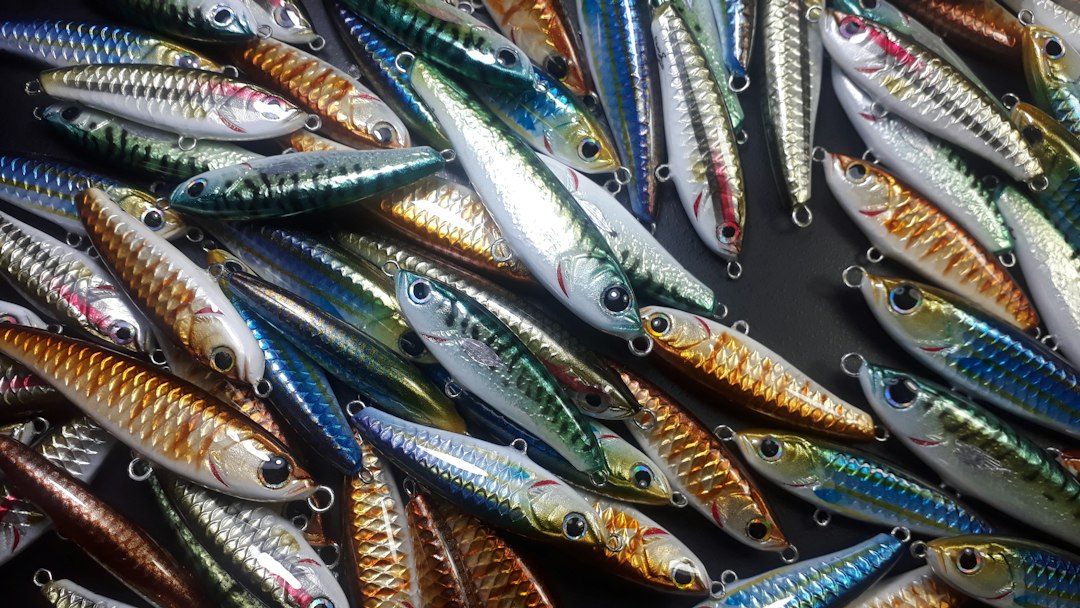 Photo fishing lures