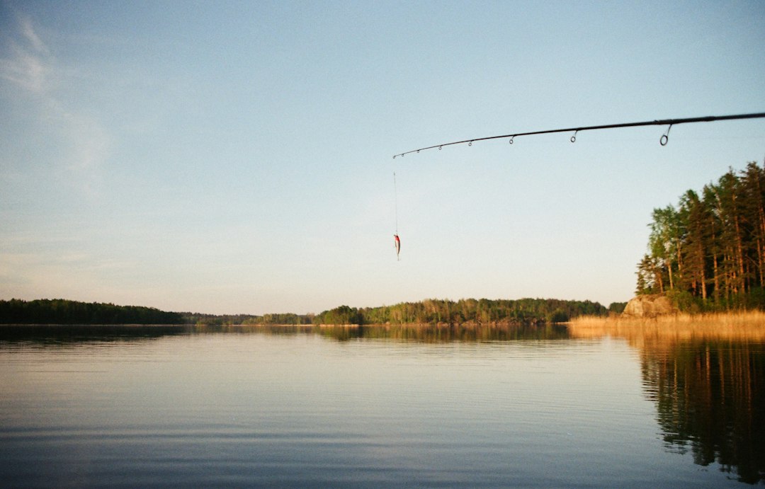 Photo fishing rod