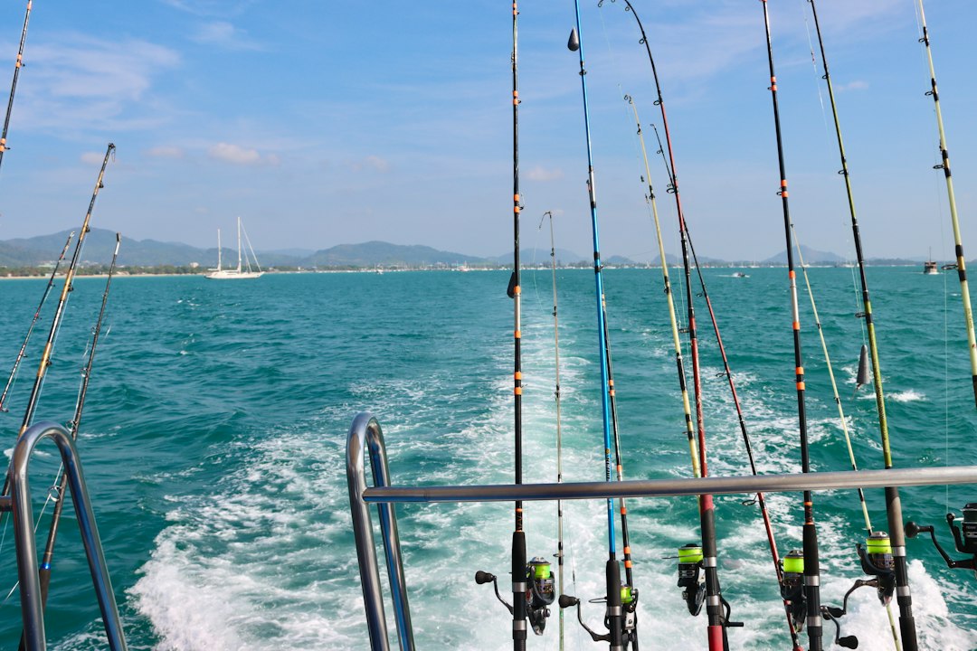 Photo fishing offshore