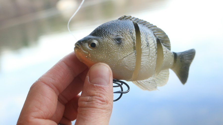 Photo fishing lure