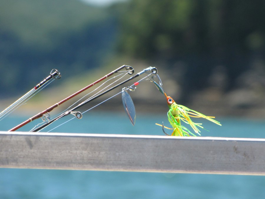 fishing lure