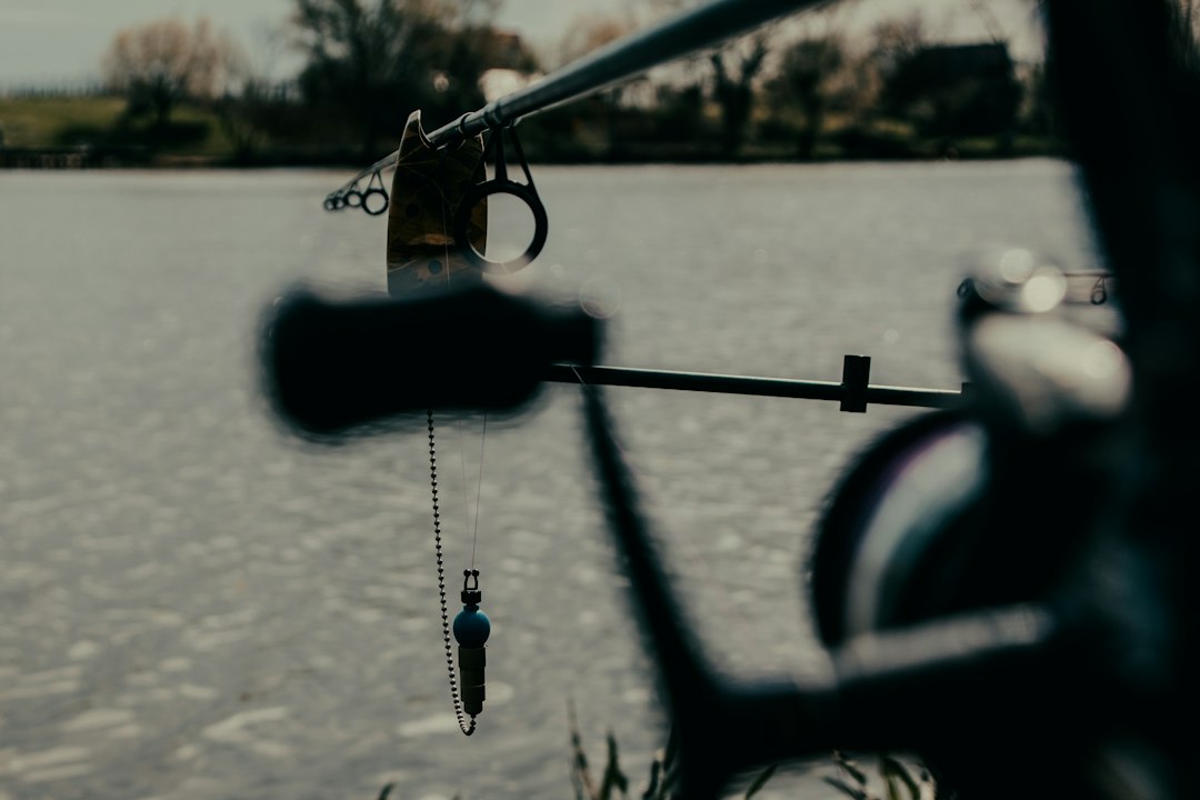 Las mejores cañas carpfishing 10 pies para pesca de carpa eficaz