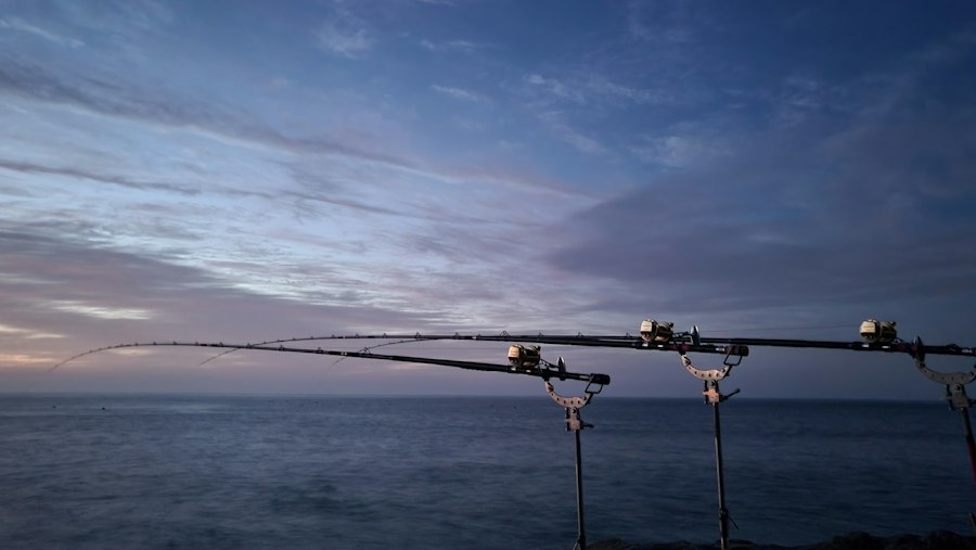 Photo 10ft carp fishing rods