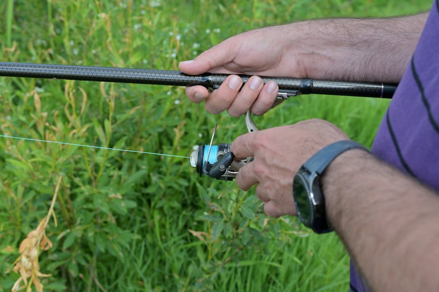10ft carp fishing rods